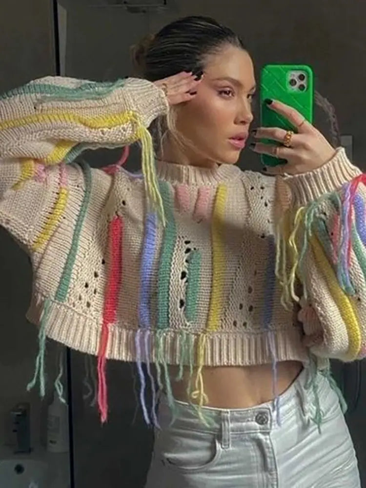 Long Sleeve Ladies Pullover Top - AlburyMart