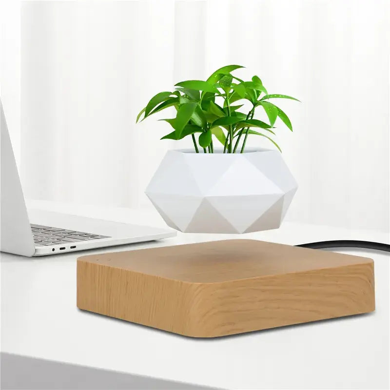 Potted Plant Home Desk Decor - AlburyMart