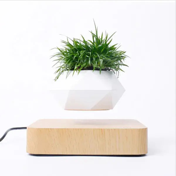 Potted Plant Home Desk Decor - AlburyMart