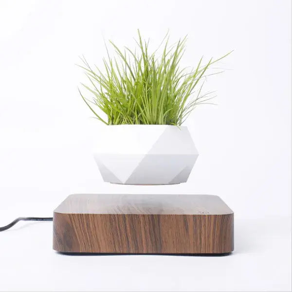 Potted Plant Home Desk Decor - AlburyMart