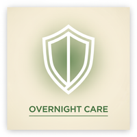 A minimalist, stylized shield icon with a subtle forest green tint, representing trust and security.