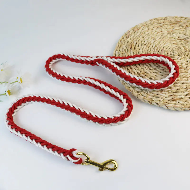 Woven Eight-Strand Dog Leash with Hand Grip