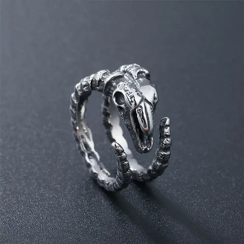Adjustable Retro Skull Ring: Punk Rock Jewelry - AlburyMart