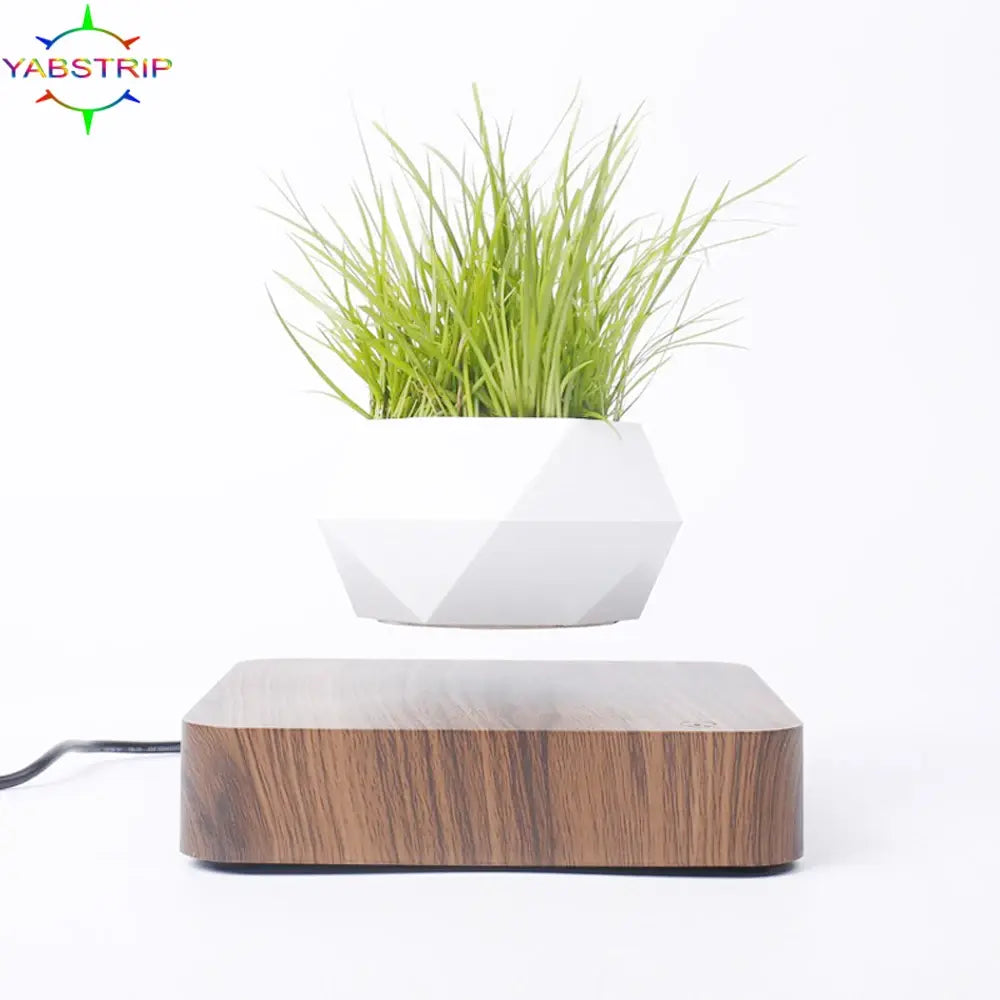 Potted Plant Home Desk Decor - AlburyMart