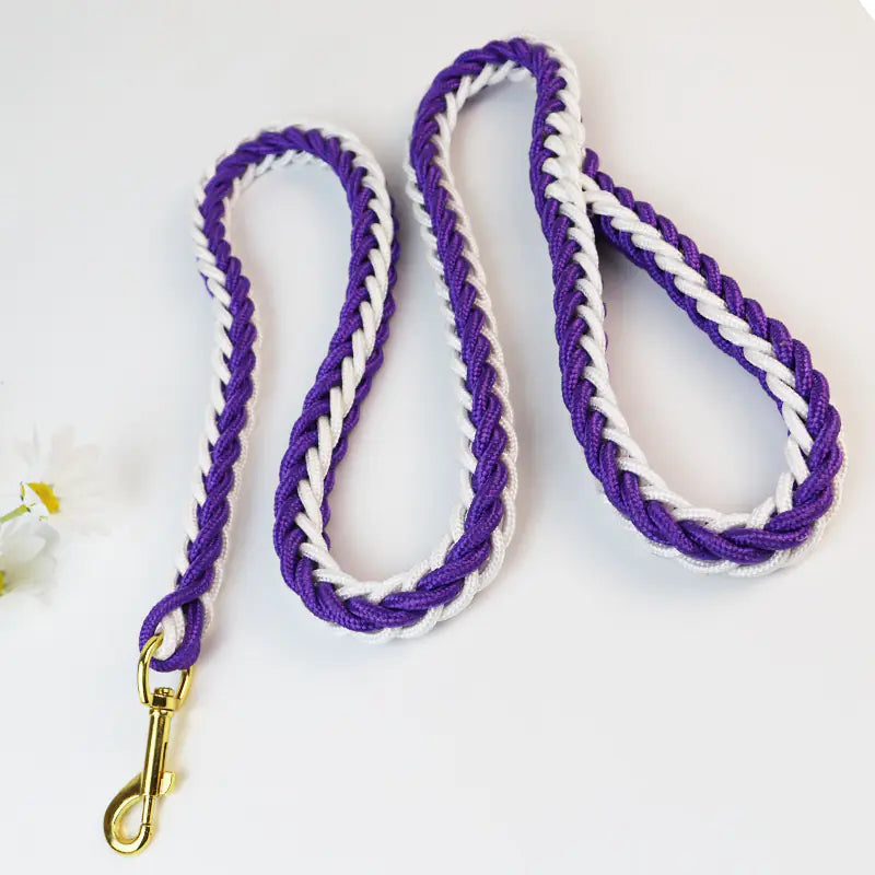 Woven Eight-Strand Dog Leash with Hand Grip