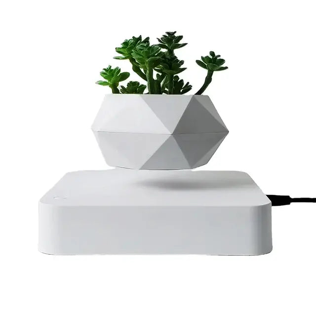 Potted Plant Home Desk Decor - AlburyMart